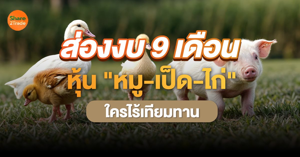 ส่องงบ 9 เดือน หุ้น หมู-เป็ด-ไก่_S2T (เว็บ).jpg