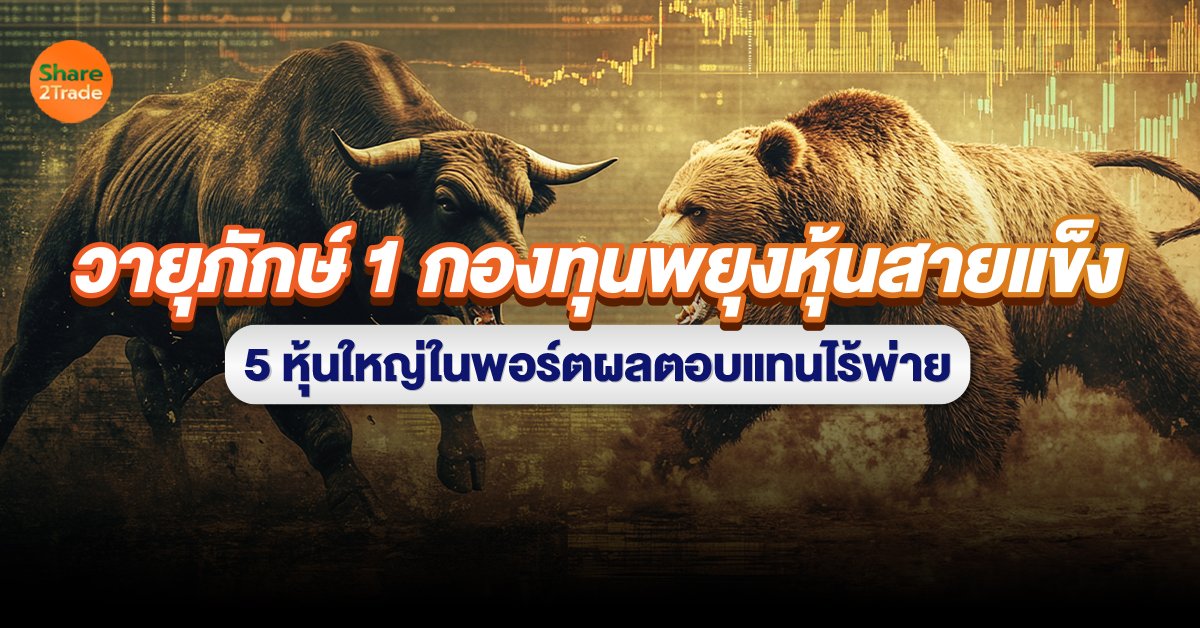 วายุภักษ์ 1 กองทุนพยุงหุ้นสายแข็ง 5 หุ้นใหญ่ในพอร์ตผลตอบแทนไร้พ่าย