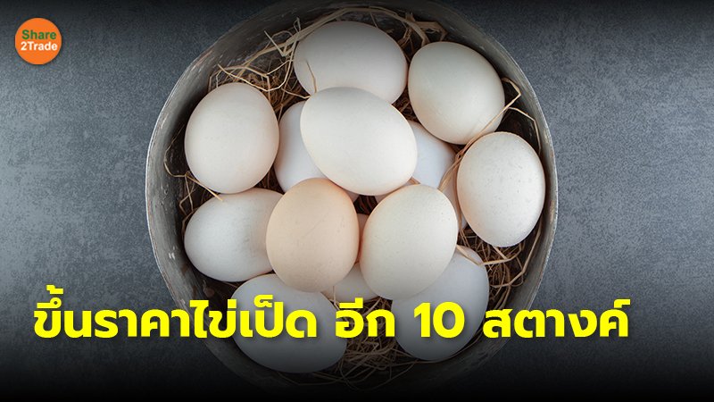 ฉุดไม่อยู่! "ไข่เป็ด" ขึ้นราคาอีก 10 สตางค์ มีผล 23 สิงหาคม 2567