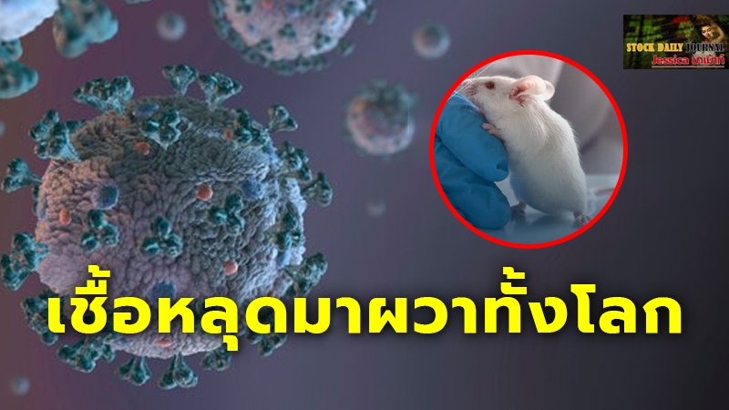 ผวาทั้งโลก! จีนทดลอง ไวรัสโคโรนาตัวใหม่ เชื้อรุนแรง เสียชีวิต 100%