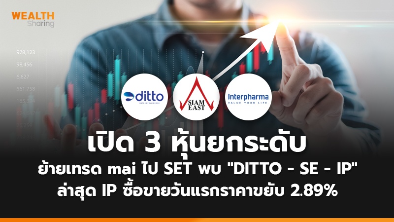 เปิด 3 หุ้นยกระดับย้ายเทรด mai ไป SET 7 เดือนแรกพบ" DITTO -SE - IP"  ล่าสุด IP ซื้อขายวันแรกราคาขยับ 2.89%