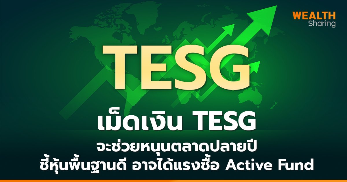 เม็ดเงิน TESG_WS (เว็บ) copy_0.jpg