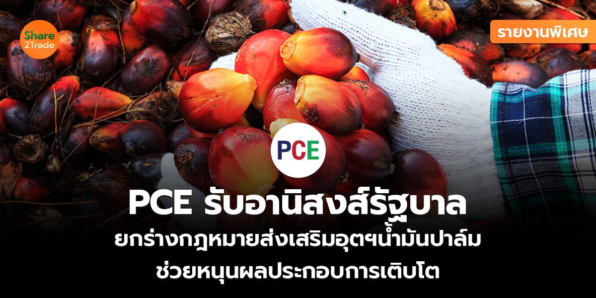 PCE รับอานิสงส์รัฐบาล_รายงานพิเศษ S2T (เว็บ)_0.jpg