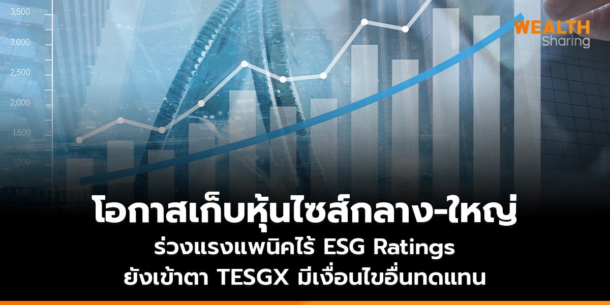 โอกาสเก็บหุ้นไซส์กลาง-ใหญ่ ร่วงแรงแพนิคไร้ ESG Ratings โบรกฯ ชี้ยังเข้าตา TESGX มีเงื่อนไขอื่นทดแทน