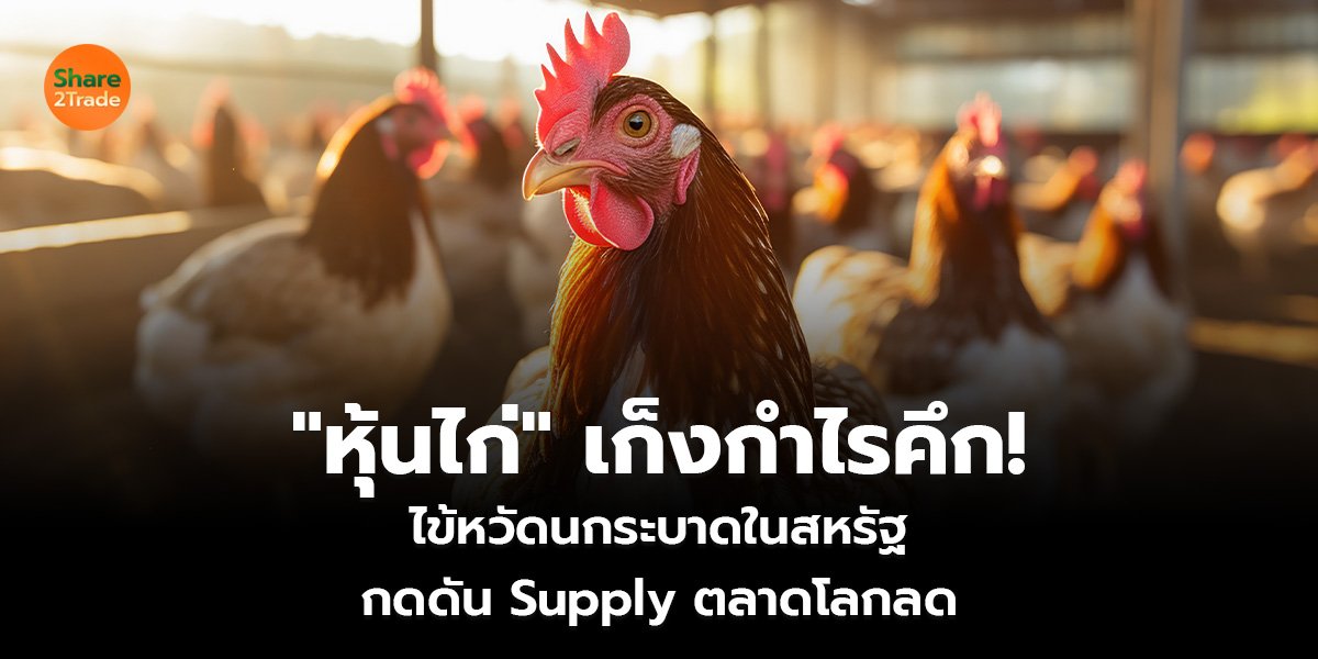 หุ้นไก่เก็งกำไรคึก! ไข้หวัดนกระบาดในสหรัฐ กดดัน Supply ตลาดโลกลด