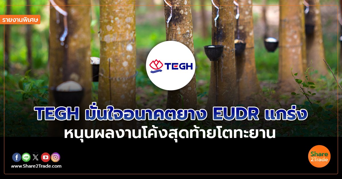 รายงานพิเศษ : TEGH มั่นใจอนาคตยาง EUDR แกร่ง หนุนผลงานโค้งสุดท้ายโตทะยาน