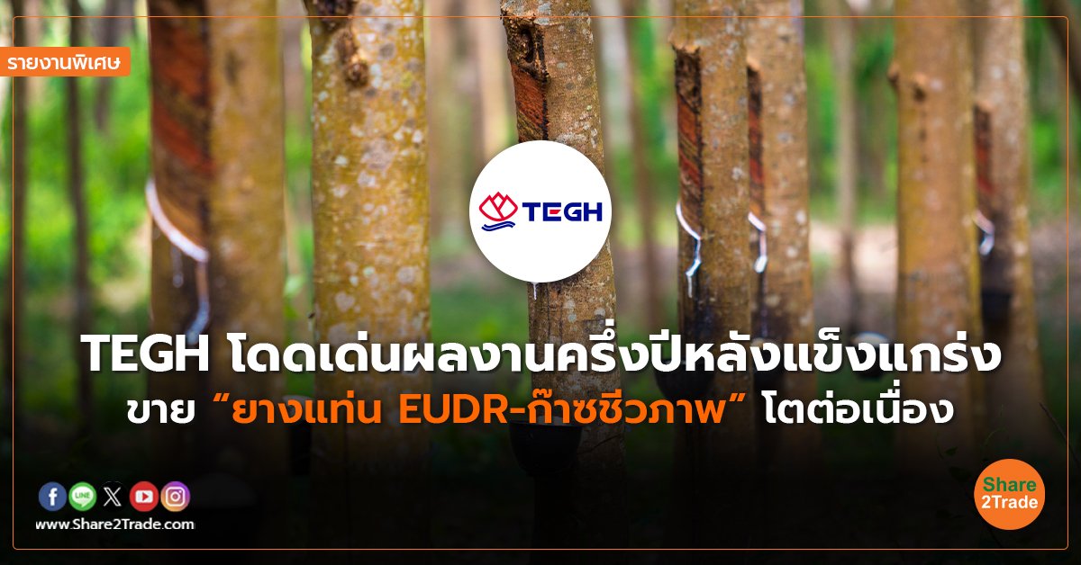 รายงานพิเศษ :  TEGH โดดเด่นผลงานครึ่งปีหลังแข็งแกร่ง ขาย “ยางแท่น EUDR-ก๊าซชีวภาพ” โตต่อเนื่อง