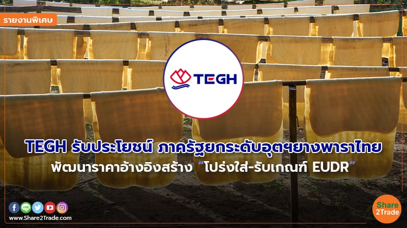 รายงานพิเศษ : TEGH รับประโยชน์ ภาครัฐยกระดับอุตฯยางพาราไทย พัฒนาราคาอ้างอิงสร้าง “โปร่งใส่-รับเกณฑ์ EUDR”
