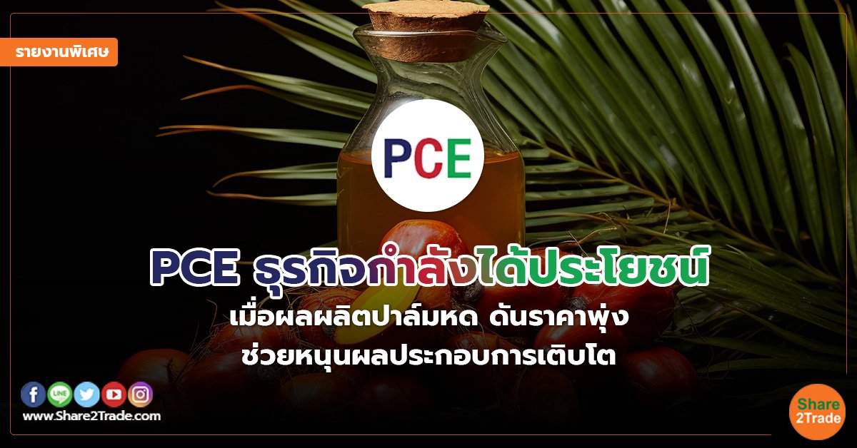 รายงานพิเศษ : PCE ธุรกิจกำลังได้ประโยชน์ เมื่อผลผลิตปาล์มหด ดันราคาพุ่ง  ช่วยหนุนผลประกอบการเติบโต