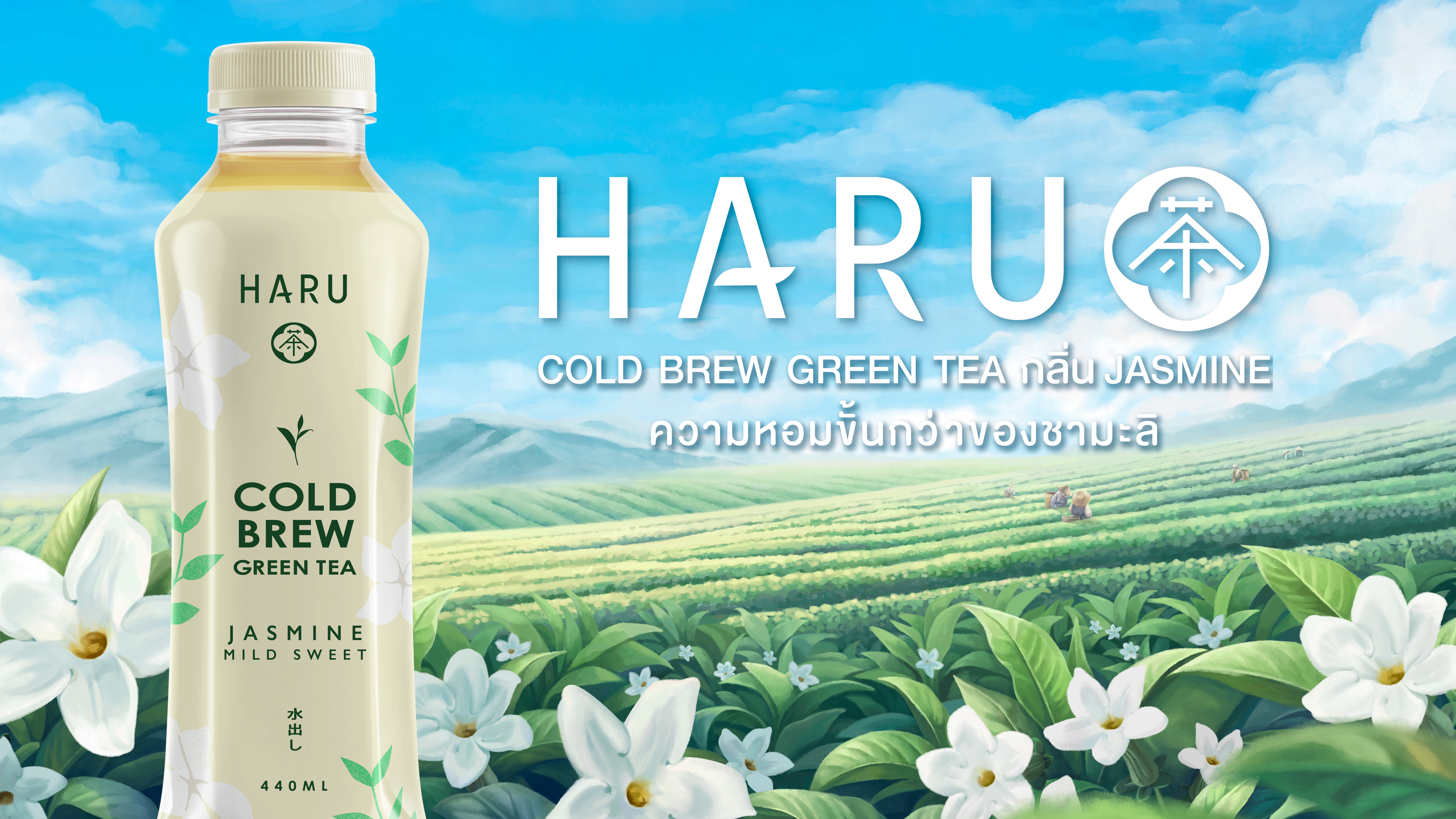 HARU Cold Brew Green Tea เปิดตัวรสใหม่ กลิ่น Jasmine ชูจุดแข็งด้วยกรรมวิธี Cold Brew ให้ความหอมขั้นกว่า และรสชาติที่นุ่ม ละมุน